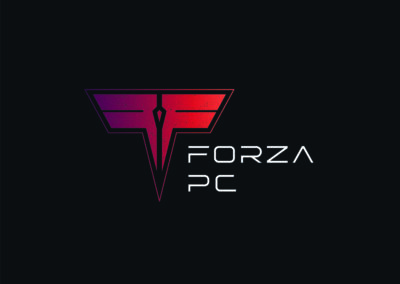 Forza PC : assembleur pc gaming et haut de gamme à Toulouse