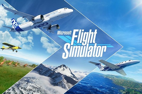 Flight Simulator