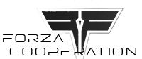 Forza PC cooperation