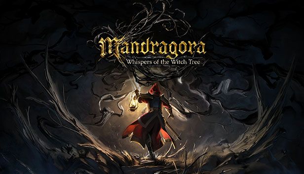 mandragora